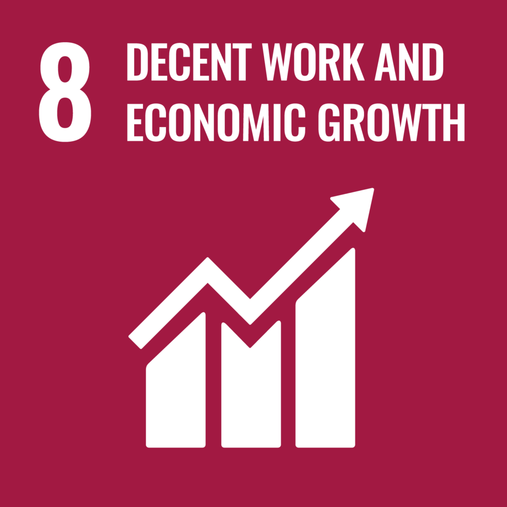 Sustainable Development Goal 8 - Decent Work Economic Growth