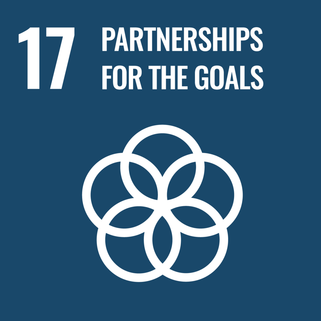 Sustainable Development Goal 17 - Partnership for the goals